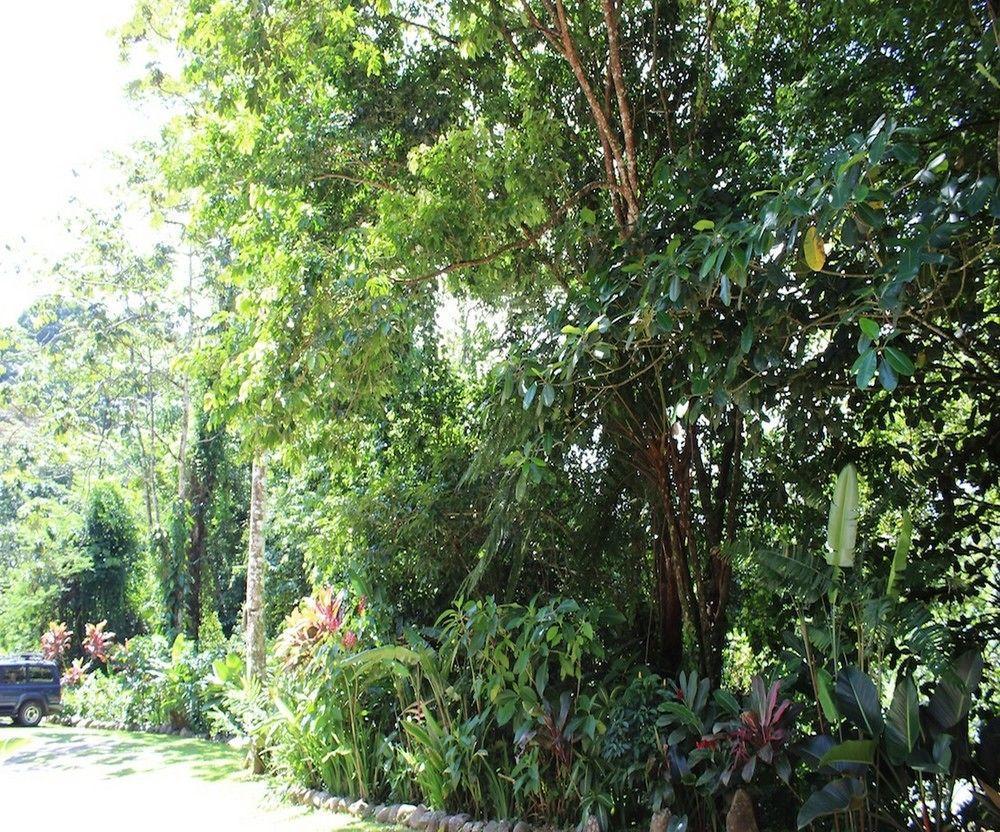 Agua Inn Nuevo Arenal Exterior photo